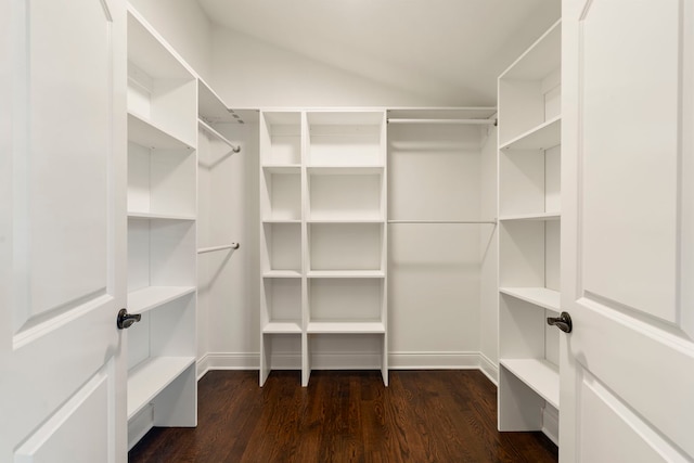 spacious closet with dark hardwood / wood-style floors