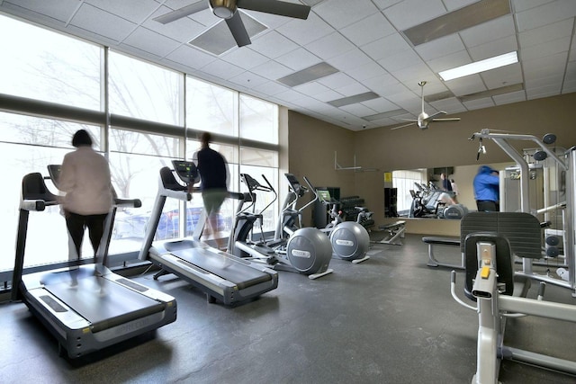 workout area with a drop ceiling and ceiling fan