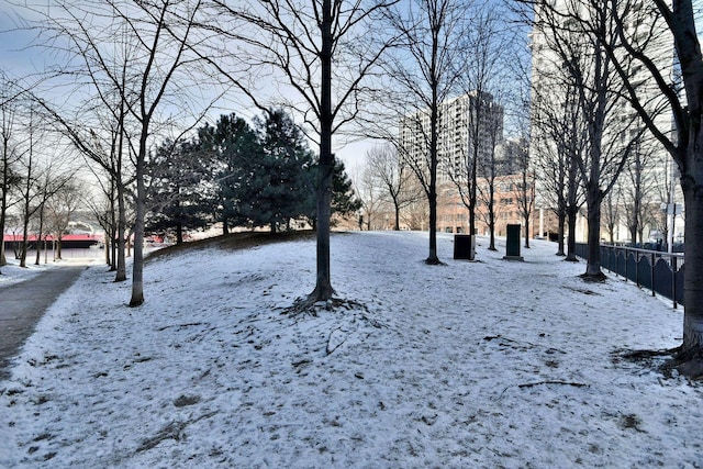 view of yard covered in snow