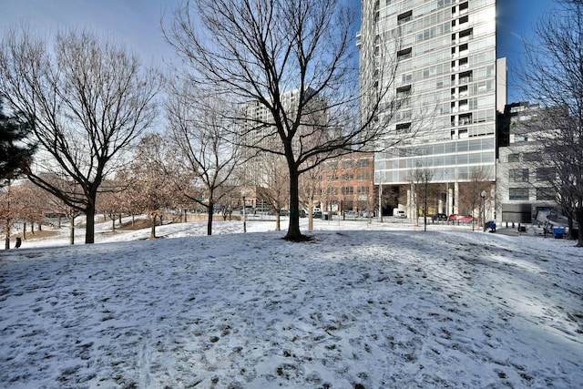 view of yard layered in snow