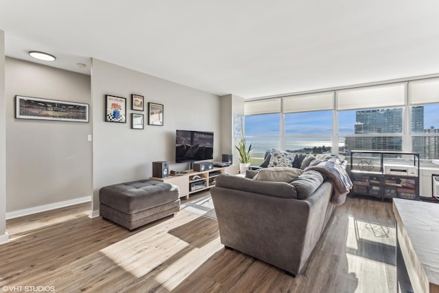 living room with hardwood / wood-style flooring and expansive windows