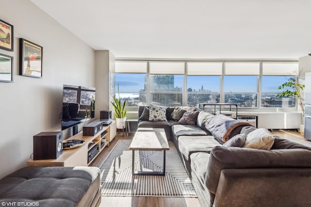 living room with hardwood / wood-style floors