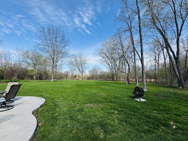 view of yard featuring a patio