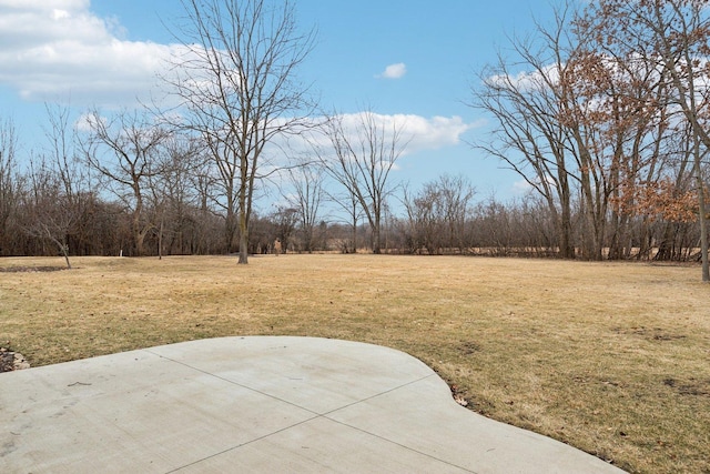 view of yard with a patio area