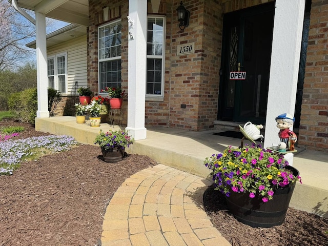view of exterior entry with brick siding and covered porch