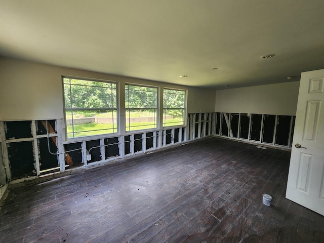 unfurnished room featuring a healthy amount of sunlight and dark wood-type flooring