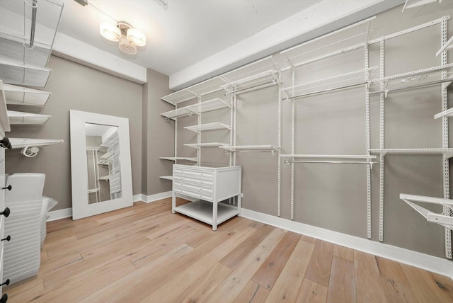 spacious closet featuring hardwood / wood-style flooring