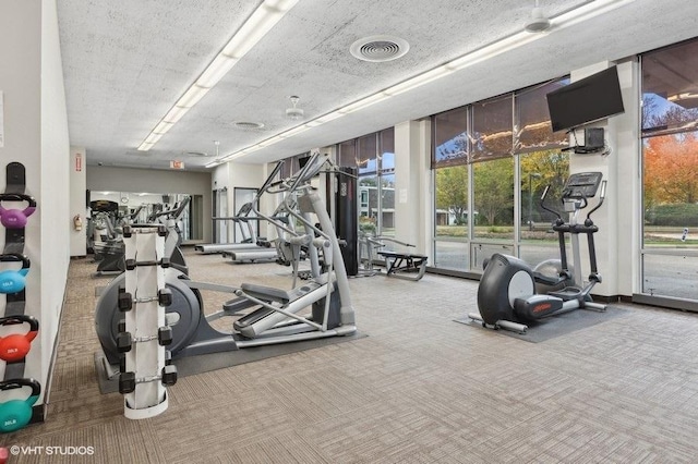 exercise room with a wall of windows, carpet flooring, and a wealth of natural light