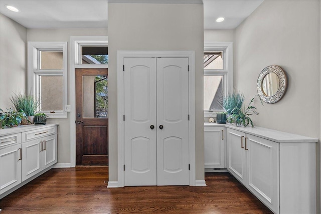 entrance foyer featuring dark hardwood / wood-style flooring