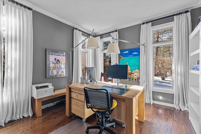 office space featuring dark wood-type flooring, ornamental molding, and plenty of natural light