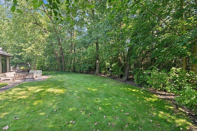 view of yard featuring a patio