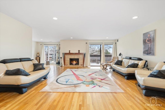 living room with light wood-type flooring