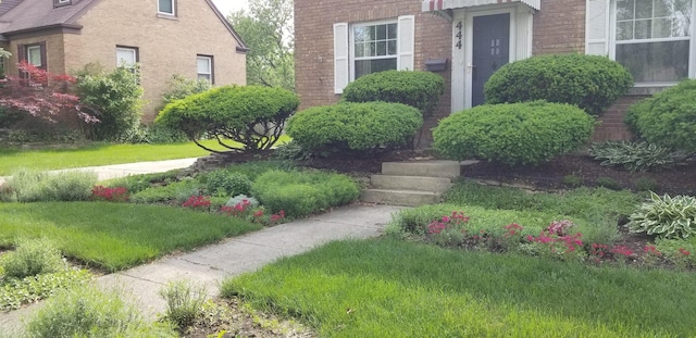 exterior space with a lawn