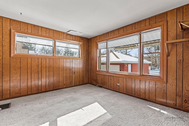 carpeted spare room featuring wood walls and plenty of natural light