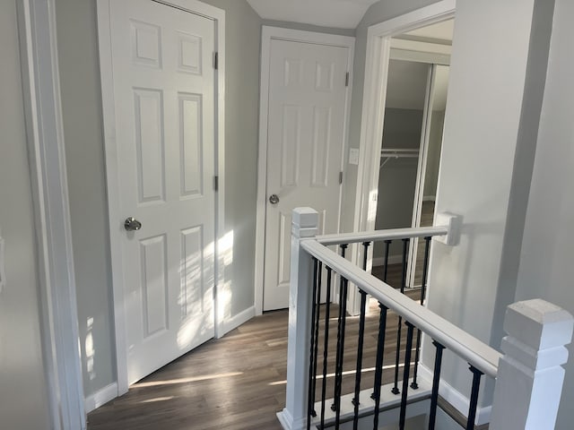 hall featuring dark wood-type flooring