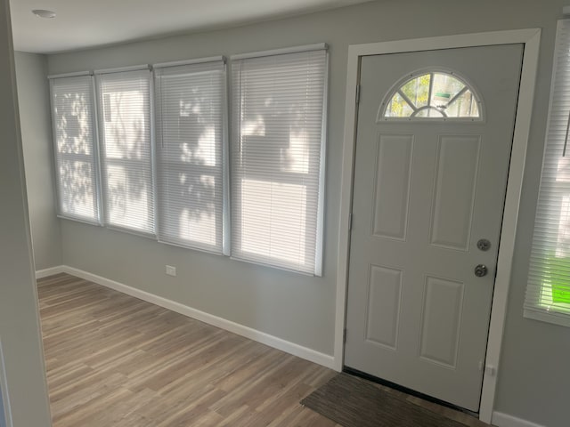 entryway with wood-type flooring