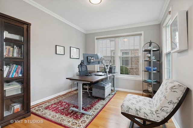 office with crown molding and hardwood / wood-style flooring