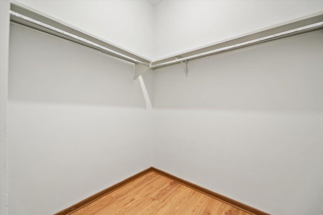 spacious closet with light wood-style flooring