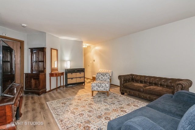 living room featuring hardwood / wood-style floors