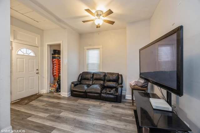 living room featuring ceiling fan and wood-type flooring