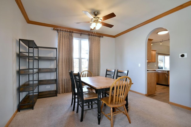 carpeted dining room featuring ornamental molding, track lighting, and ceiling fan