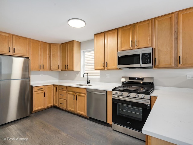 kitchen featuring sink, appliances with stainless steel finishes, and dark hardwood / wood-style floors