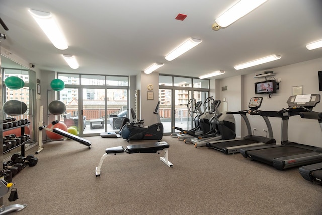 workout area featuring a wall of windows