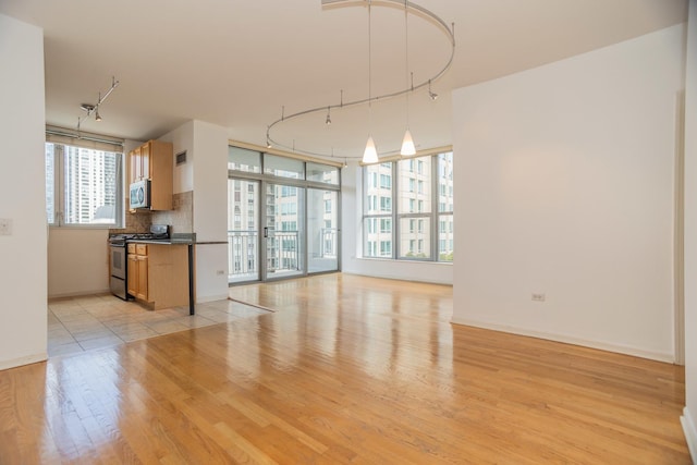 unfurnished living room with light wood-type flooring and a healthy amount of sunlight