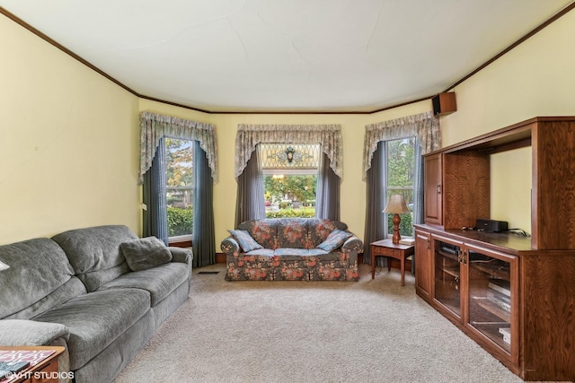 living room with carpet flooring