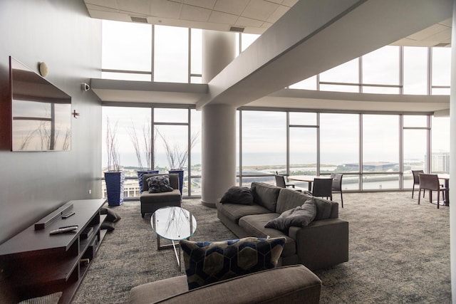 carpeted living room featuring a water view