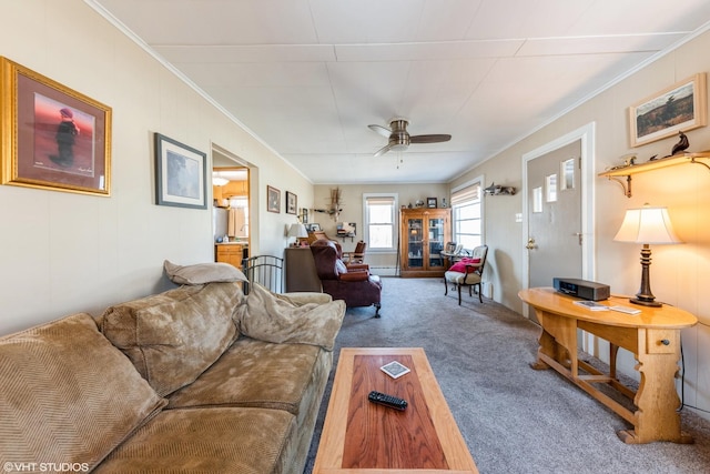 living room featuring crown molding, carpet, ceiling fan, and a baseboard radiator