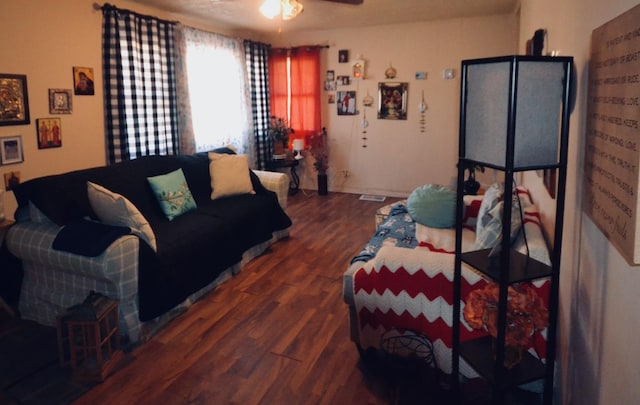 living room with ceiling fan and hardwood / wood-style floors