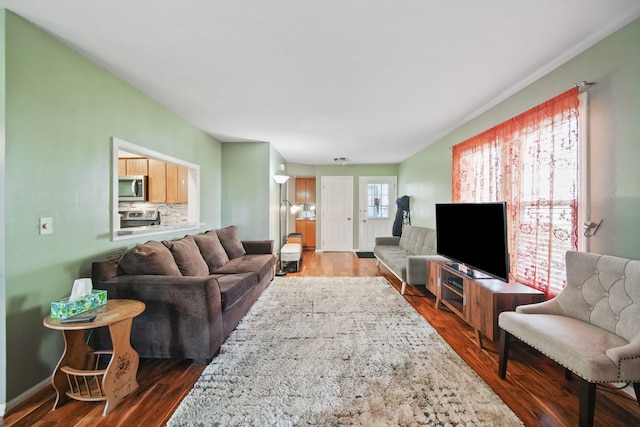 living room featuring hardwood / wood-style floors