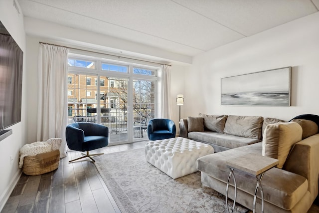 living room featuring hardwood / wood-style flooring