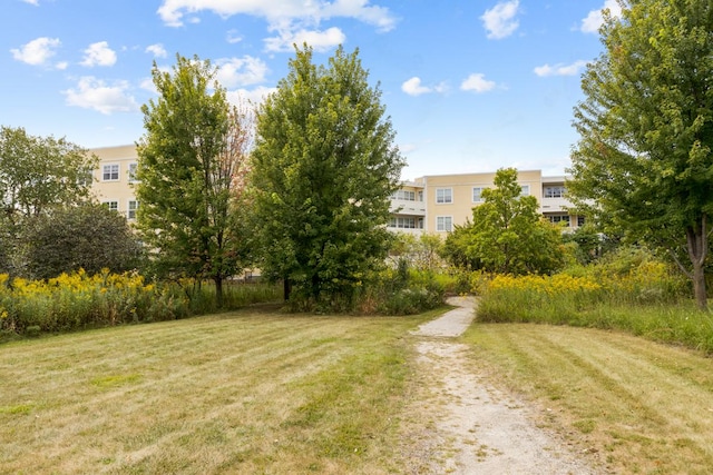 exterior space featuring a yard