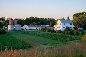 view of yard at dusk