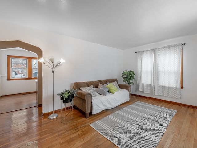 living room with hardwood / wood-style floors and plenty of natural light