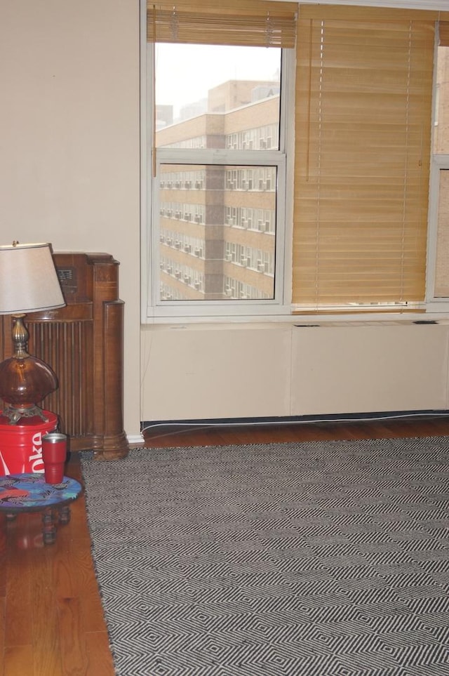 interior space featuring dark hardwood / wood-style flooring