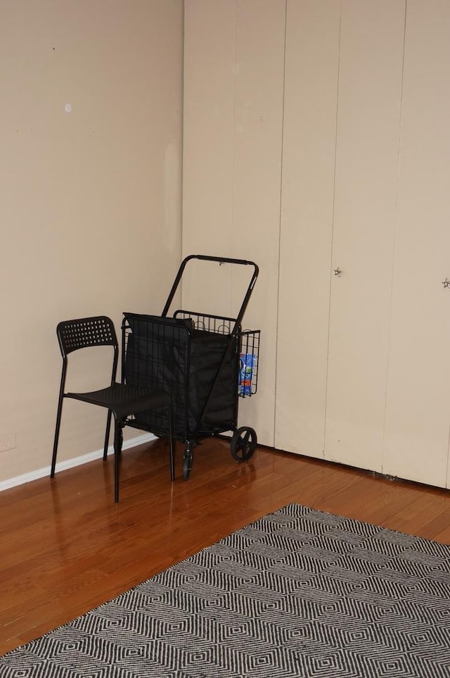 interior space featuring wood-type flooring