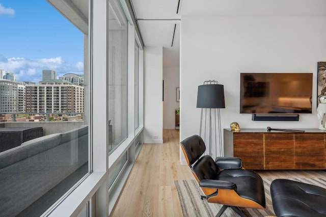 living room featuring light hardwood / wood-style floors