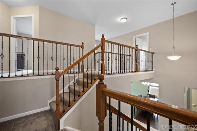 stairs featuring carpet flooring