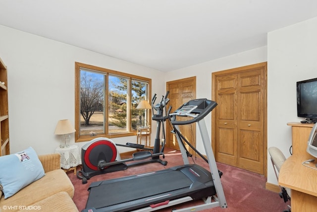 workout area featuring carpet flooring