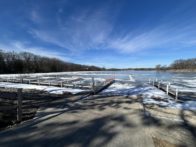 dock area with a water view