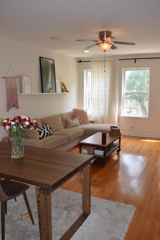 living room with ceiling fan, a healthy amount of sunlight, and hardwood / wood-style floors