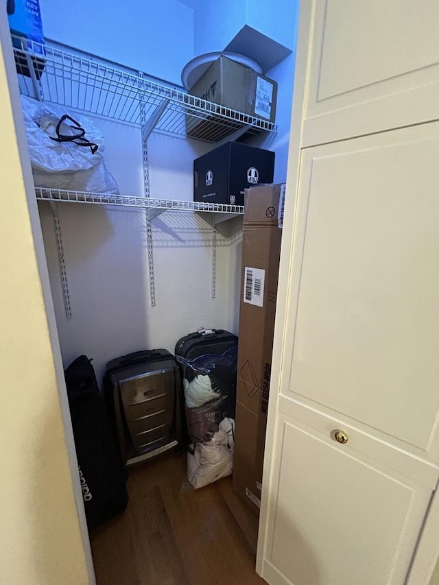 spacious closet featuring hardwood / wood-style flooring