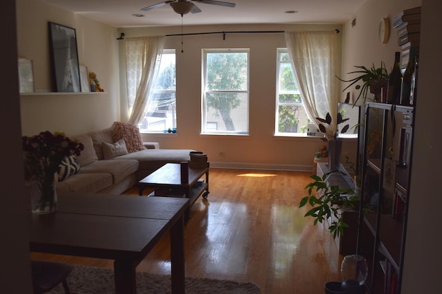 living room with ceiling fan and light wood-type flooring