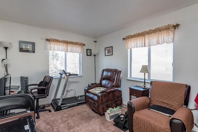 workout area featuring light colored carpet