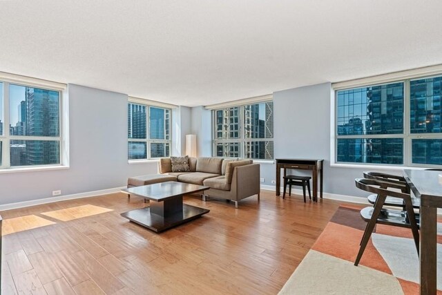 living room featuring light hardwood / wood-style flooring