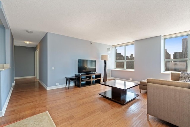 living room with light wood-type flooring, plenty of natural light, and a textured ceiling