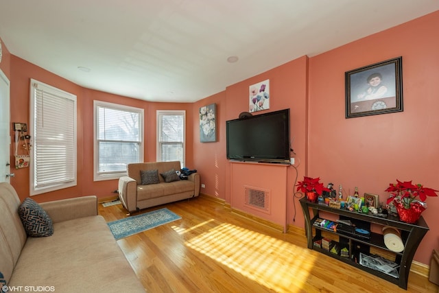 living room featuring wood-type flooring